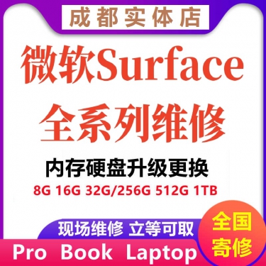 surfacepro5内存